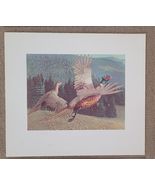 Stan Galli Pheasants 20 X 22 3/4 Weyerhaueser Wildlife 1960&#39;S Art Print - $50.49 CAD