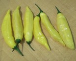 Hot Lemon Pepper Seeds 30 Lemon Drop Aji Limon Vegetable Garden Fast Shi... - £7.20 GBP