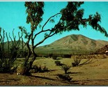 Sierra Blanca Mountain El Paso Texas TX UNP Unused Chrome Postcard A12 - £5.51 GBP