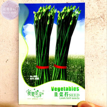 SL 1 Original Pack, 50 Seeds / Pack, SL Garlic Chives Seeds Allium Tuberosum Chi - $1.38