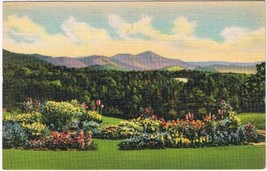 Postcard Mount Pisgah &amp; The Rat Asheville School Western North Carolina - £2.74 GBP