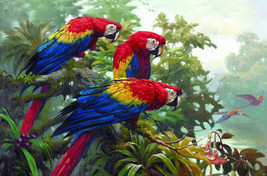 Giclee Three macaws Art painting HD printed on canvas - £7.60 GBP+
