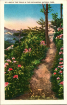 Postcard - One of the Trails in the Shenandoah National Park - Virginia (A11) - £3.85 GBP