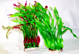 Aquarium Plastic Plant Décor 13-1/2” Tall Set NEW 770 - €16,02 EUR