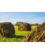 Unique Natural Digital Landscape Photo of Stacks, Grass and Sunny Weather - £0.77 GBP