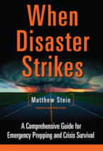 When Disaster Strikes Book by Matthew Stein [Trade Paperback, 2011]; Lik... - £2.98 GBP