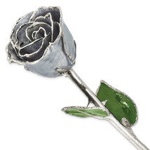 Silver Moonstone Lacquer Dipped Silver Trimmed Real Rose GM16752 - £81.44 GBP