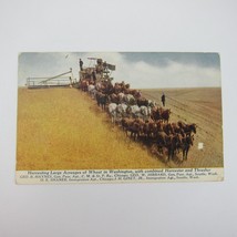 Postcard Washington Wheat Harvest Farming Horses Harvester Thresher Antique 1915 - £7.85 GBP