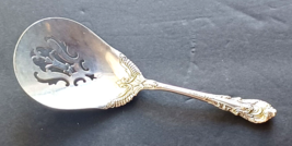 Sir Christopher by Wallace Sterling Silver Solid Bon Bon Spoon w/ Pierced Bowl - £43.52 GBP