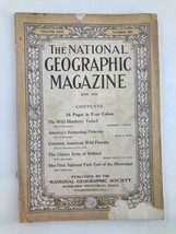 VTG The National Geographic Magazine June 1916 Wild Blueberry Tamed No Label - £11.17 GBP