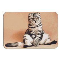 Mondxflaur Cat Non Slip Bathroom Mat for Shower Quick Dry Diatom Mud Rugs - $18.99