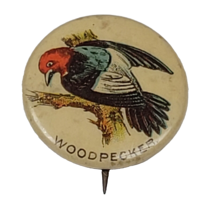ATQ 1890s Woodpecker Whitehead &amp; Hoag Pepsin Gum Bird Pinback Button New... - $18.68