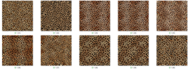 Item image 14