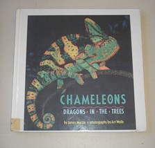 Chameleons : Dragons in the Trees by Art Wolfe and James Martin (1991, Hardcover - £4.01 GBP