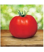 Park&#39;s Whopper CR Improved Tomato, 100 Seeds D - $14.55 CAD