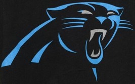 NFL Licensed Carolina Panthers Youth Extra Large Cam Newton Tee Shirt - £15.68 GBP