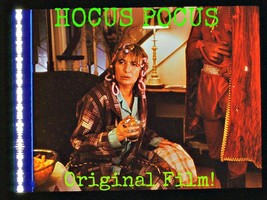 HOCUS POCUS 1993 8x10 Color Photo From Original Film!  Sistahs!  #24  + ... - £8.99 GBP