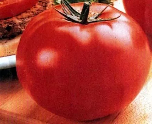 Tomato Big Beef - Vegetable 50 Seeds Garden Fresh USA Shipping - $28.89