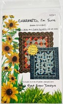 Charmed ,I&#39;m Sure Pattern Black Eyed Susan Designs # 2563 Pattern - $7.91