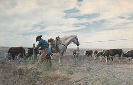 Western Mending Fence Western Kansas Repairing Horse Cows Postcard D42 - £2.39 GBP