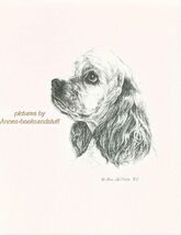 #264 PARTI  COCKER SPANIEL  *  dog art print * Pen and ink drawing * Jan... - $12.50