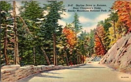 Skyline Drive in Autumn Near Clingmans Dome Smoky Mountains TN - Postcard (C9) - £4.56 GBP