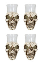 Set Of 4 Gothic Graveyard Macabre Grinning Evil Skull Shot Glass Holder Figurine - £32.14 GBP