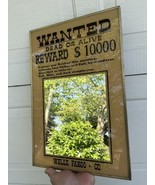 Vintage Wells Fargo Wanted Dead Or Alive Mirror Japan Glass 12x18 Wall H... - $1,439.38 MXN