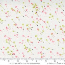 Moda DANDI DUO Cream 48756 11 Quilt Fabric By The Yard - Robin Pickens - £9.29 GBP