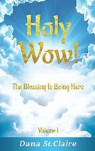 Holy Wow!: The Blessing Is Being Here [Paperback] St.Claire, Dana - £12.85 GBP