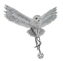 Anne Stokes Awaken Your Magic Snowy Owl with Pentagram Pendant Wall Sculpture - £87.61 GBP