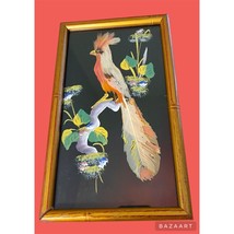 Mexican Folk Art Feathercraft Bird In VTG Frame - £15.81 GBP