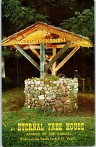 Eternal Tree House Ye Olde Wishing Well Redwoods Avenue of Giants Postcard - £5.79 GBP