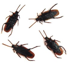 12 BULK COCKROACH BUGS fake creepy bug roach joke cockroaches insects RE... - $4.74