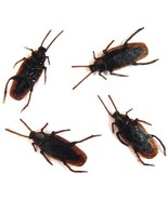 12 BULK COCKROACH BUGS fake creepy bug roach joke cockroaches insects RE... - £3.72 GBP