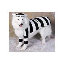 Casual Canine Prison Costumes for Dogs Dress Your Pup Like a Prisoner in Stripes - £27.99 GBP