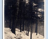 RPPC Winter Scene In Woods Conway New Hampshire NH UNP Postcard N4 - $3.97