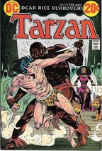 Tarzan Comic Book #217 DC Comics 1973 FINE - £6.98 GBP