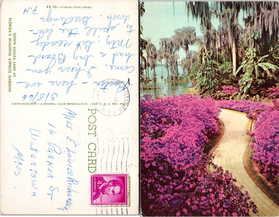 Primary image for Florida Cypress Gardens Azalea Lane Posted 1966 to Watertown MA Postcard