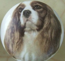 Ceramic Knobs w/ King Charles Spaniel #3 DOG - $4.46