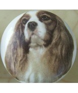 Ceramic Knobs w/ King Charles Spaniel #3 DOG - $6.11 CAD