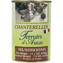 Chanterelle Mushrooms in Water - 12 x 7.9 oz can - £145.35 GBP
