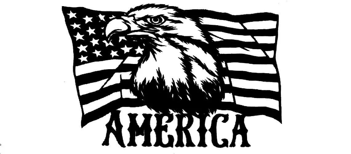 America USA Flag Eagle White &amp; Black Vinyl Decal Bumper Sticker (3) - $2.88