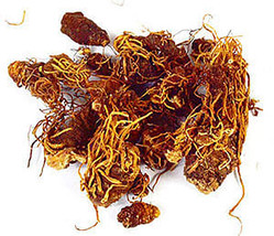 1 Lb Beth Root whole - $5,717.59 MXN