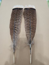 LB87 Matched Pr Striped Turkey Natural Colored Tail Feather - £9.31 GBP