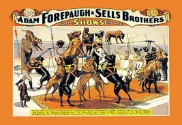 A Troupe of Champion Great Danes: Adam Forepaugh and Sells Brothers Great Shows  - £17.22 GBP+
