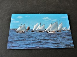 Annual Races of Friendship Sloops, Maine - Unposted Postcard. - £5.17 GBP