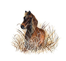 Item image 1 image 1