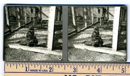 Long Tailed Monkey in Cage Original Stereoview  1930&#39;s - £18.71 GBP
