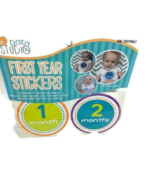 Baby Studio First Year Stickers Infant Photographs Pictures Milestones ...